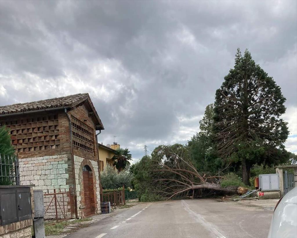 Forti Raffiche Di Vento Nell'eugubino: Alla Scuola Aldo Moro Volano I ...